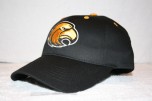 Southerm Mississippi Eagles Champ Hat